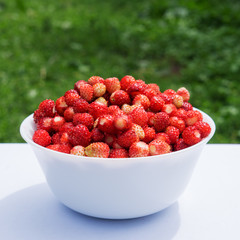 Vegetarian Strawberry Food