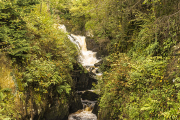 UK - Yorkshire Dales - Ingleton Falls