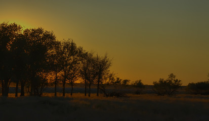 Naklejka na ściany i meble Sunset in the steppe in the Astrakhan region. Russia.