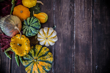 Decorative colorful pumpkins decoration on wooden table / Halloween - Thanksgiving - Autumn concept