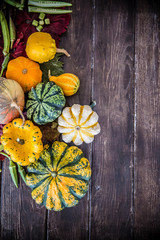 Decorative colorful pumpkins decoration on wooden table / Halloween - Thanksgiving - Autumn concept