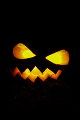 Pumpkin Halloween on a black background. Symbol of halloween