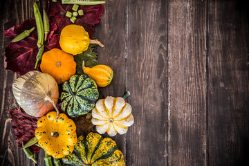 Obraz na płótnie Canvas Colorful pumpkins decoration on wooden table / Halloween - Thanksgiving - Autumn concept