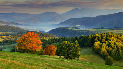 Obraz premium Fall in Slovakia. Meadows and fields landscape. Autumn color cherry trees.