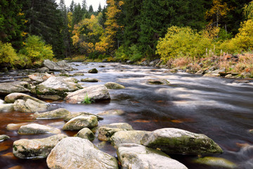 Naklejka na ściany i meble Long Exposure of river Vydra at Rechle Bridge in Bohemian Forest in colourful autumn, Sumava, Böhmerwald, Srni