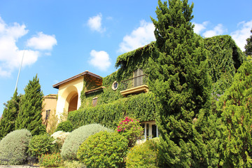Fototapeta na wymiar building with green ivy and blue sky