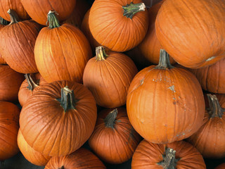 Festive pile of orange autumn pumpkins at a farmer’s market ready for halloween holiday
