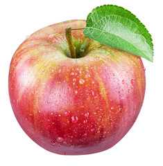 Ripe red apple with water drops.