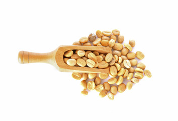 Coffee beans in scoop on white background