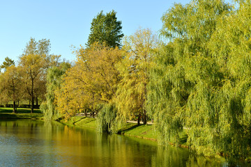 Novodevichy Convent park and pond in autumn
