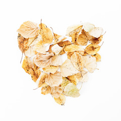 Autumn love concept of autumn leaves on white background. Flat lay, top view