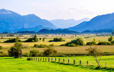 landscape murnauer moos - bavaria
