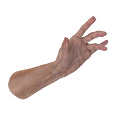 african hand of the old man isolated on a white. 3D illustration