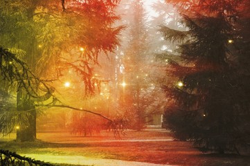 Fototapeta premium Fir trees with fog and stars in surreal red and yellow light.