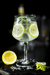 Citrus lemonade lemon cocktail on dark background