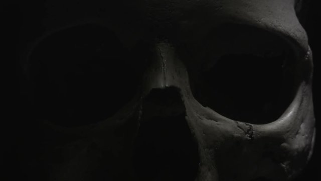 Human skull: Light sweeps past eye sockets in close up. Spooky and sinister.