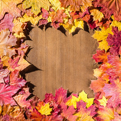 Naklejka na ściany i meble Autumn leaves on a wooden background. Place for inscription in the frame.