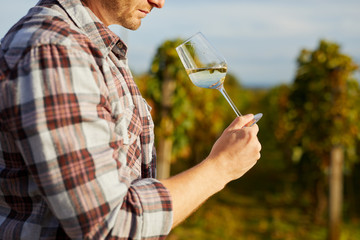 Man tasting white wine on vineyard in autumn