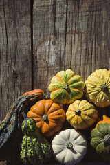 assortment of different pumpkins