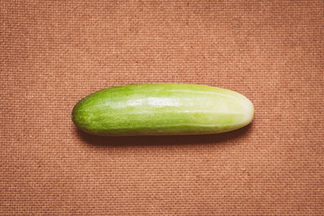 Cucumber isolated on wooden background - Vintage filter