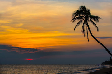 Sunset on Sanya beach, China. Red sun hides in clouds over the South China Sea, against the backdrop of a silhouette of a palm tree.