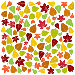 Autumn background of colorful leaves. Vector illustration