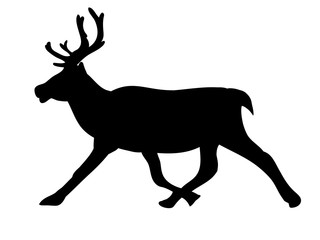 silhouette of a reindeer