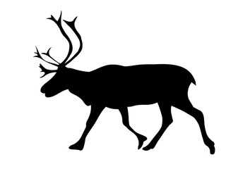isolated silhouette of a reindeer © zolotons