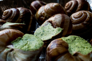 Frozen Snail food with Garlic Butter.