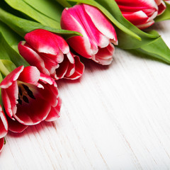 Tulip bouquet on white wooden background, copy space