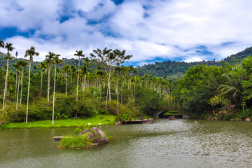 Lake in the rainforest. Yanoda Rain Forest. Hainan, China.