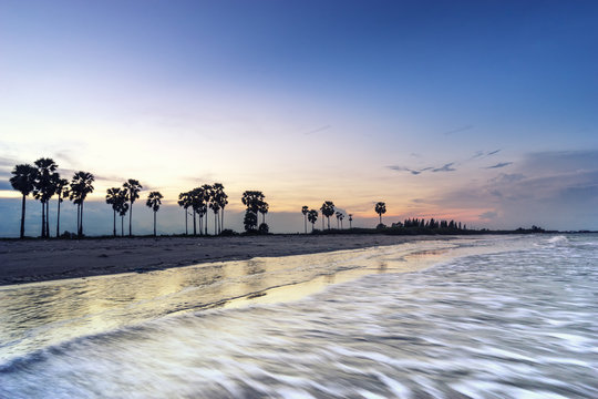 Seascape On Sunset And Palm Trees Beach