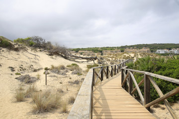 Fototapeta na wymiar Dünenlandschaft im Naturschutzgebiet, Cala Mesquida, Capdepera, Insel Mallorca, Spanien, Europa