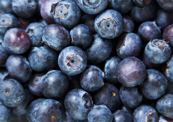 Blueberry Fruit