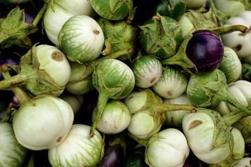 one purple eggplant in pile green eggplant,winner has only one in competition