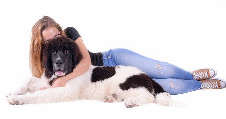 puppy landseer in front of white background