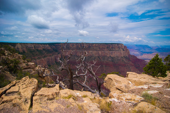 Blick über den Abgrund auf den Grand Canyon