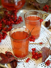 Sweet tea from berries of viburnum. A drink of viburnum.