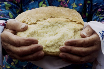 Older maternal hands wrinkled keep bread