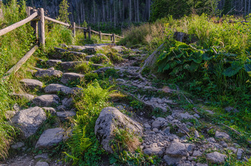 Stony steps on the footpath in the countryside