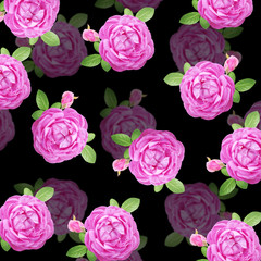 Beautiful floral background of lilac roses 