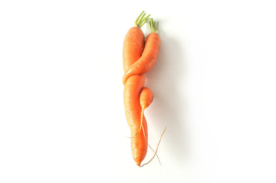 carottes bio de forme amusante