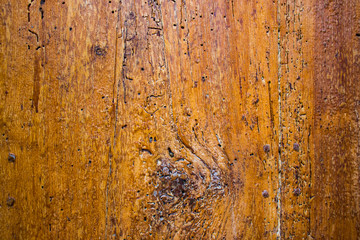 Wooden  background texture. Element of design.