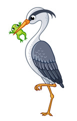 The heron in a beak holds a frog. Vector illustration with cute bird on white background.