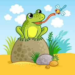 The frog sits on a large rock and catches a dragonfly. Cute vector illustration of a cartoon style.