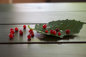 Red currant with water drops and green leaf on wood table.