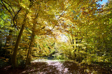 Autumn in the Pyrenees