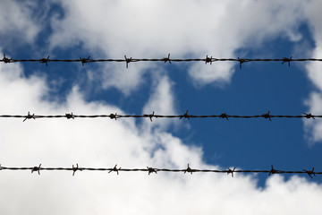 Barbed wire fence