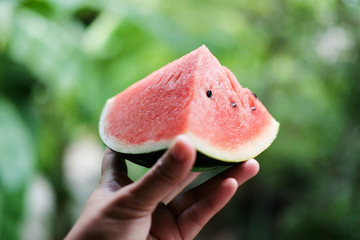 Slice of watermelon in hand against the nature background
