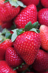 Strawberry Background